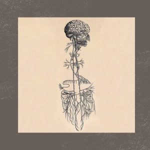 Illustration of brain and roots.